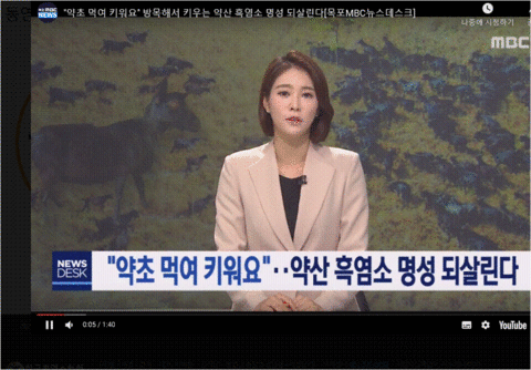 약초 먹여 키워요~~